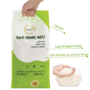 thiết kế bao bì gạo