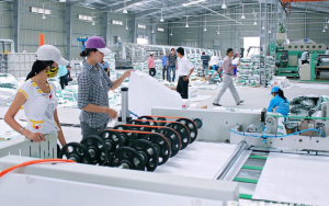 Sản xuất bao bì thông dụng chất lượng