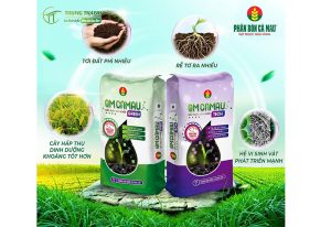 In bao bì phân bón đẹp chất lượng giá rẻ